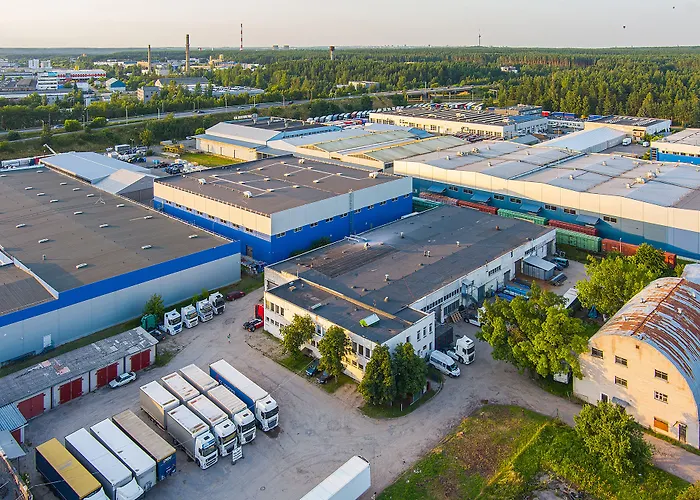 Lollo Graiciuno - Lollo * Вильнюс