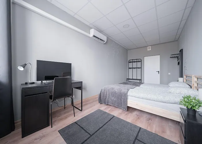 Lollo Graiciuno - Lollo Hostel Vilnius